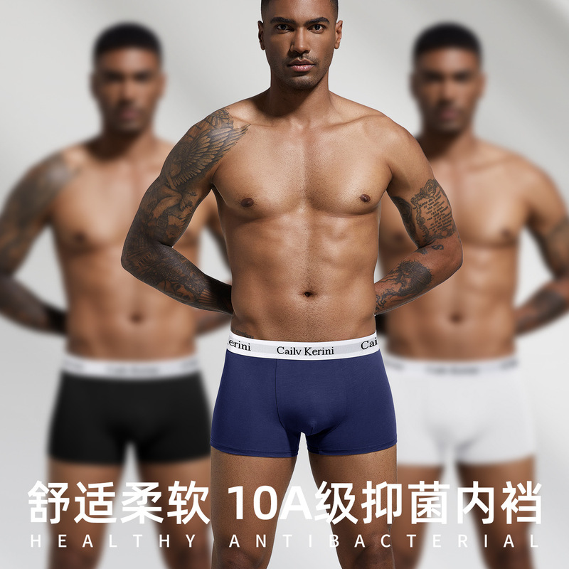 New Men's Underwear Modal Cotton High Elasticity Large Size Boxer Briefs Gift Box Set Dropshipping