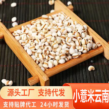 Դ�^һ�����lС޲������r�����r��С޲���ײ�����؛2025����
