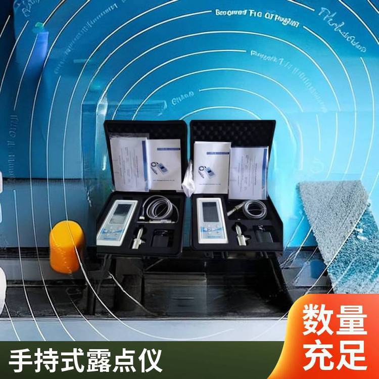 现货 芬兰维萨拉VAISALA DM70手持式露点仪 露点测量仪