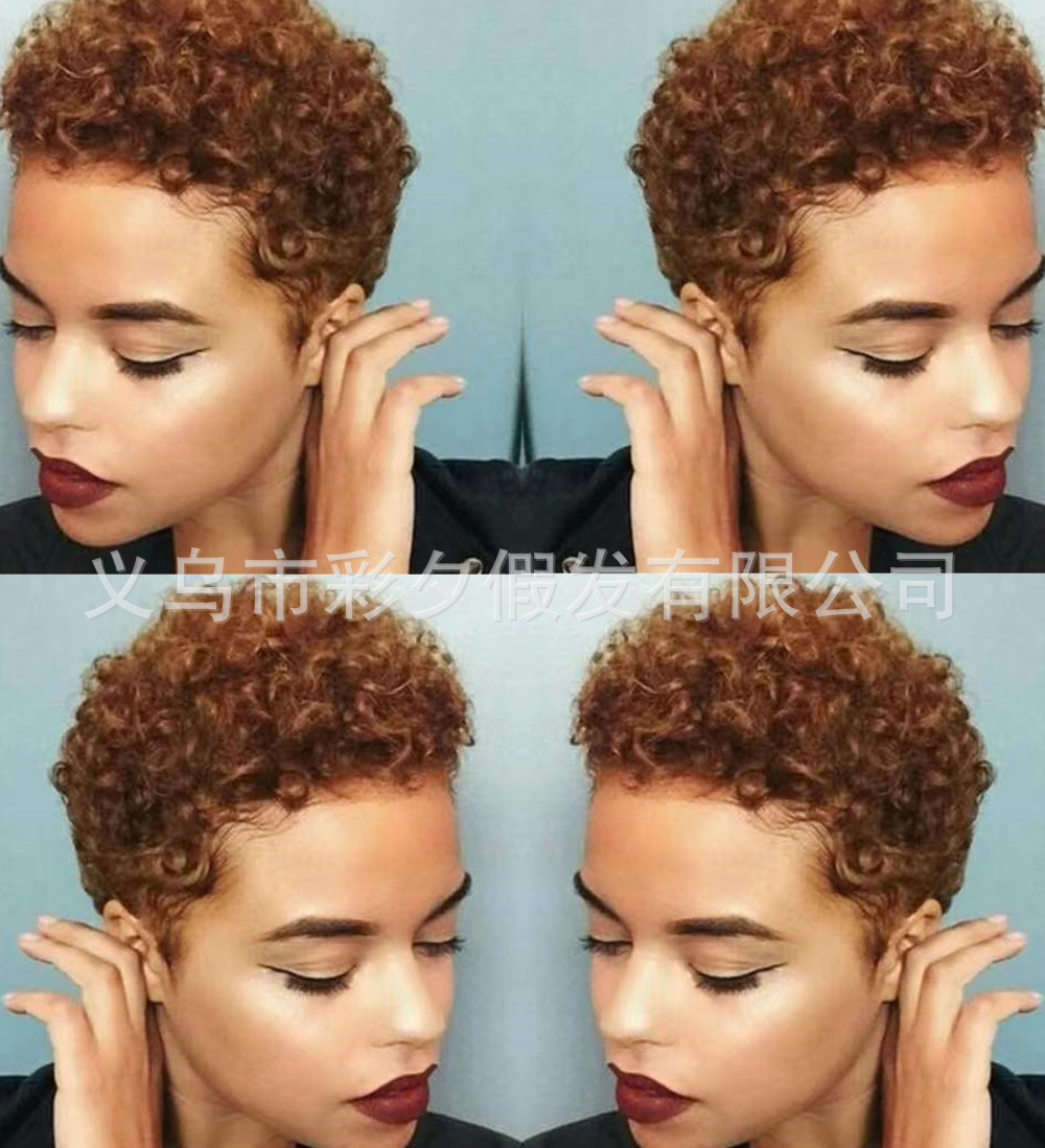 Peluca de comercio exterior de Europa y América explosión pequeño rizado pelo falso pelo corto de las mujeres africanas