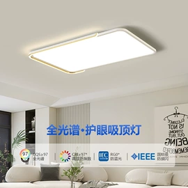 吊灯;吸顶灯;室内壁灯