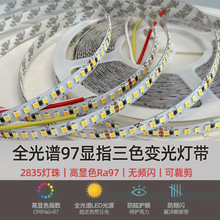 全光谱24V192珠双色温三色光LED智能灯带可接入智能系统调光调色