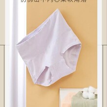 彩田正品31033款女生秋冬新款简约纯色柔软高腰收复舒适棉质内裤