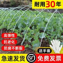 搭菜园棚架杆蔬菜拱棚支架拱杆菜地骨架农用大棚育苗秧苗新型实心