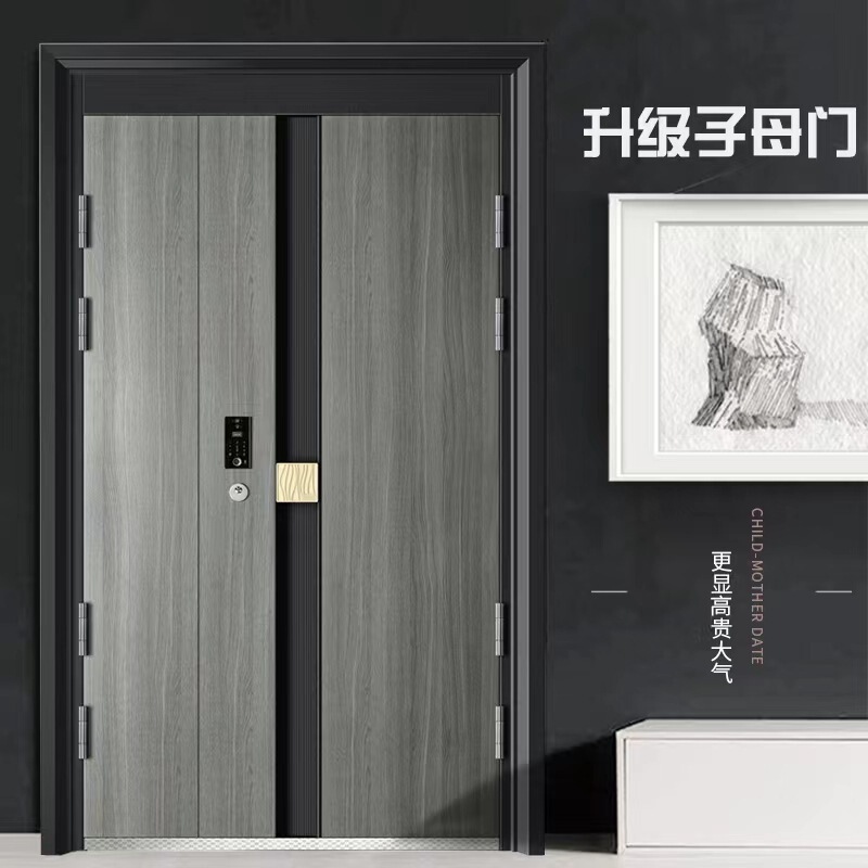 Household class a anti-theft door face recognition intelligent home door zinc alloy light luxury modern entrance door single door Household class a anti-theft door face recognition intelligent home door zinc alloy light luxury modern entrance door single door