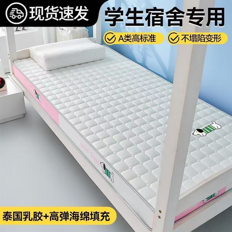 Thickened Latex Mattress for Home Use, Memory Foam Pad for College Dormitory, Single Sponge Tatami Mat, Home Floor Mat