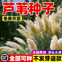 �JȔ�N���JȔ�ݷN���ͺ��������޸����у���ˮ�|�����o�����ݷN��