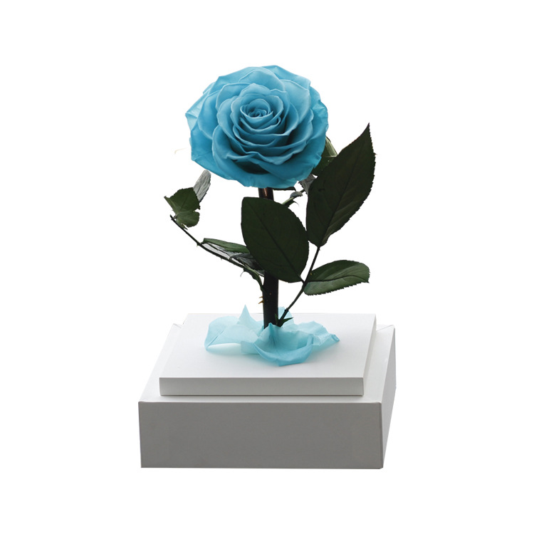 Regalo acrílico del Principito, rosa, Día de San Valentín, regalo de cumpleaños para niña, flor eterna, arte de flor eterna terminado