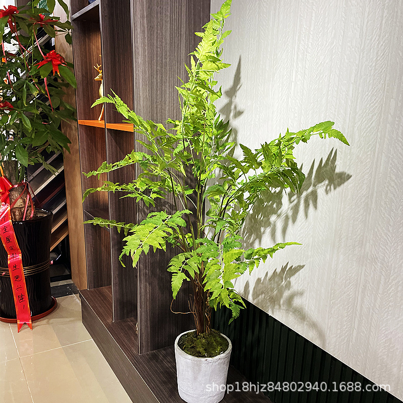 9d3ef38f43ff453ba469a89da27f2c