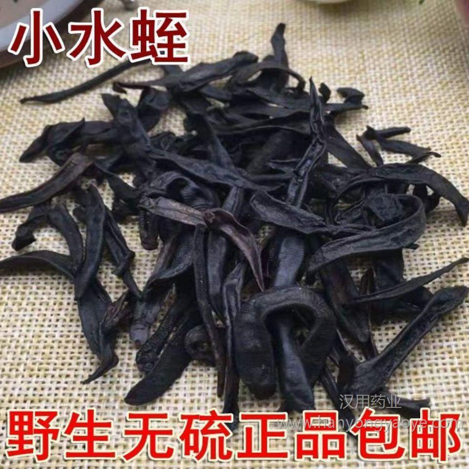 材水蛭蚂蟥小水蛭干吊干金边医蛭小水蛭清水