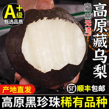 高原大黑梨藏乌梨新鲜梨子当季四川高山脆甜黑皮梨子孕妇水果整箱