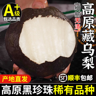 ��ԭ�����؞������r���Ӯ����Ĵ���ɽ�����Ƥ�����ЋDˮ������