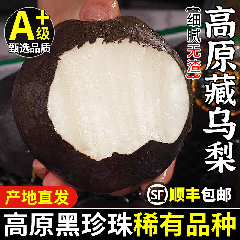 高原大黑梨藏乌梨新鲜梨子当季四川高山脆甜黑皮梨子孕妇水果整箱