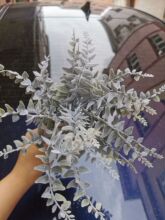 0.5MM白色短绒毛白色棉毛，圣诞树喷雪，空气草撒绒，多肉植绒