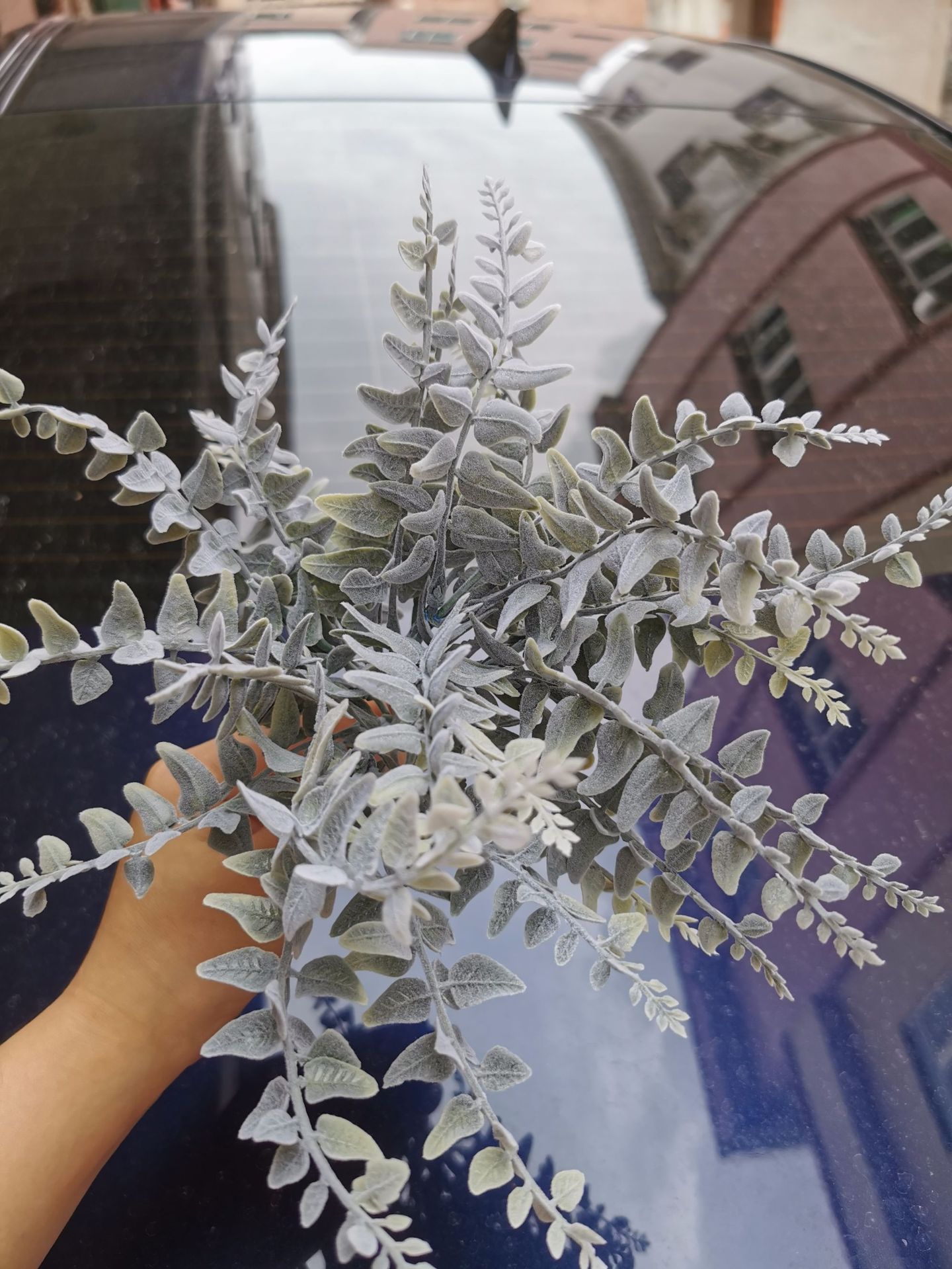 0.5MM白色短绒毛白色棉毛，圣诞树喷雪，空气草撒绒，多肉植绒
