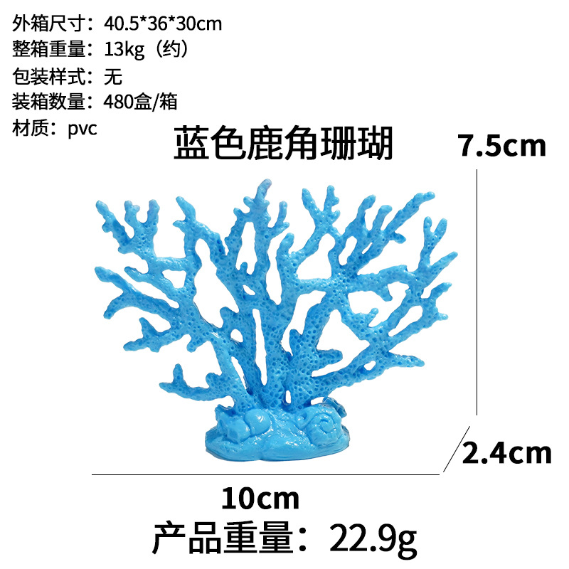 Coral cornamenta azul