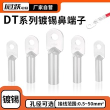 DT系列镀锡鼻子接线端子铜线耳接头电线电缆压线端头0.5-50MM平方