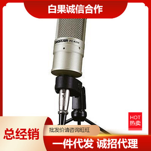 /PC-K200 Simplified Edition Capacitor Michael PCK200 Microphone K-song Anchor Bargaining