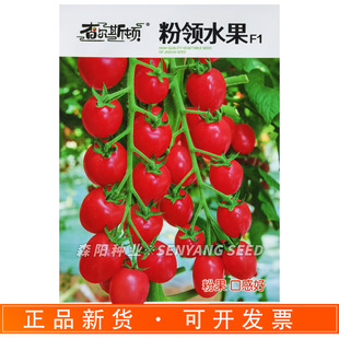 �頖˹�D ���Iˮ��С���ѷN�ӷۼt���ҷ����ļ�ˮ��ǧ���}Ů��