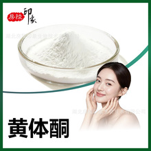 �S�wͪ99%��ͪ�S�wͪ�S�w����ͪ�� Progesterone��ϩ��ͪ57-83-0
