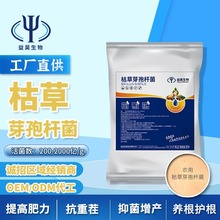 枯草芽孢杆菌枯萎病烂根病农用抗重茬微生物菌剂菌种代工经销厂家