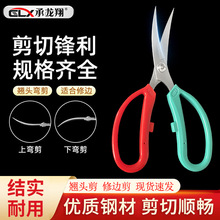 ������ƹ�����zƤ���ü������^���zƤ�ü������μ����P��N�^����