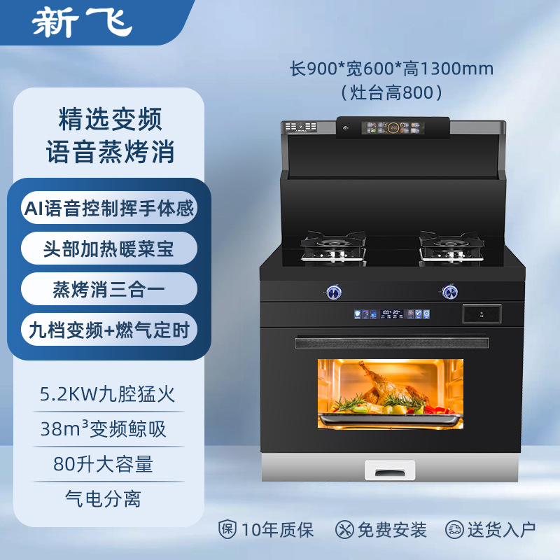 900 찜 및 로스팅 플래그십 모델(업그레이드된 9단 음성 주파수 변환)