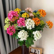 �������^ľ����ѩ���򻨻�c���þƵ껨ˇܛ�bӰ���쾰��ˇ��