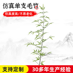 �����֧ë������������֧�����~��֧�҃��̈��bG���쾰ë��