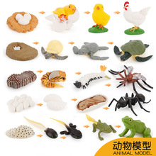 �¿����Q���挍�ļ��ݺ���������ţ�R���x������L���ڿƽ�ģ��