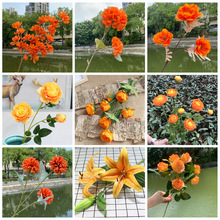 婚礼堂软装花材秋色系花婚庆花艺橘黄色橙色玫瑰绣球樱花厂家现货