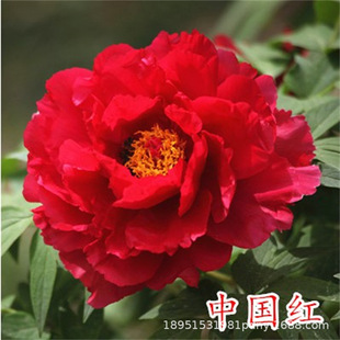 ĵ�����N�����ĵ�������̨ͥԺ�҃���Nֲ���N���N���ͺ����N��