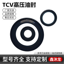 TCV�͸߉��ͷ����z���m�Ǽ��ͷ�Cе�ܷ����ĥҺ���ͱ��R�_�ܷ�