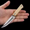 Pen, pocket knife