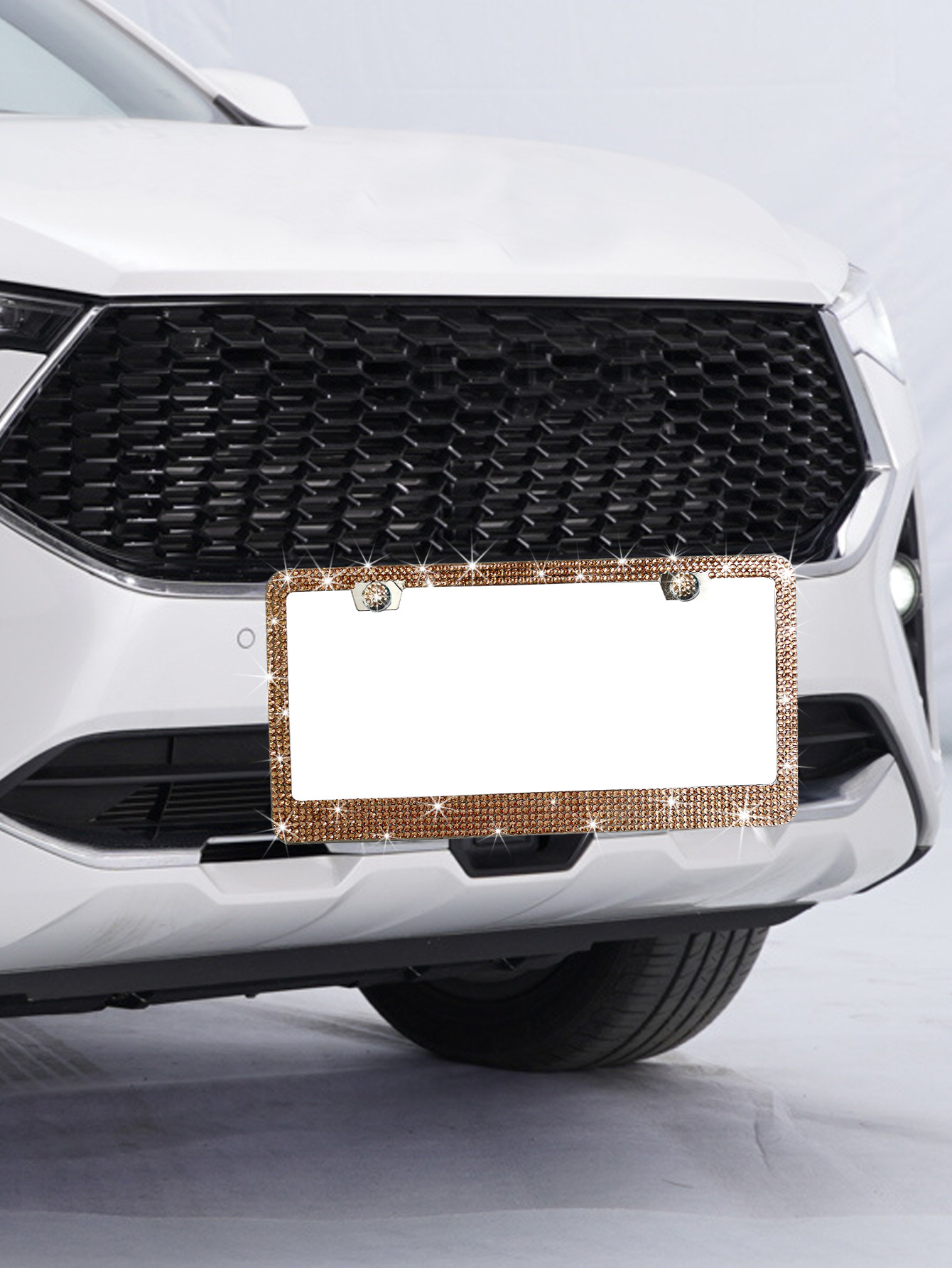 Plate Frame US | Other License plate holder/license plate holder - champagne