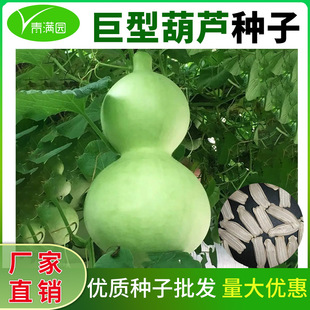 ���l���J�N����J�N�Ӿ��ͺ��J�N�Ѱˌ�Λρ����������С���J�N��