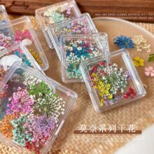 超薄干花美甲饰品混款春日油画五瓣花ins法式天然小碎花美甲配饰