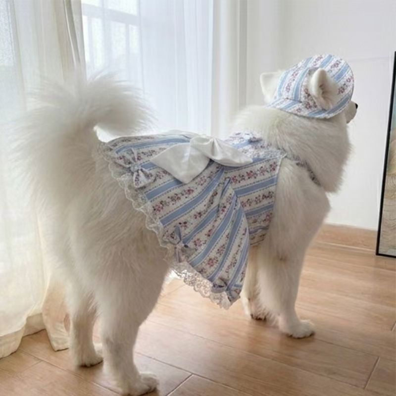 Samoyed 2026 New Cute Pet Dress for Large, Medium, and Small Dogs Labrador Photography Dress