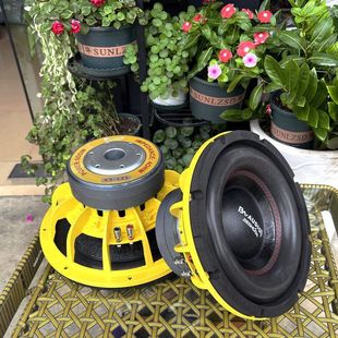 Long Stroke High Power 10inch 12inch Reinforced Woofer Dual Voice Coil Car Subwoofer Speaker