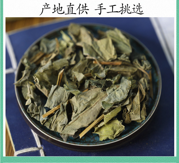 Wild Houttuynia Herb Yu Xing Cao Dried Fish Mint Leaves for Herbal Tea 500g Premium Grade specifications