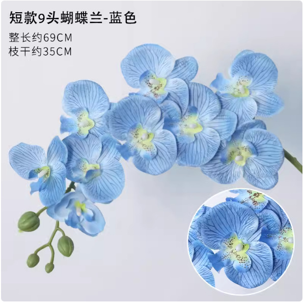 9송이 숏 스타일 호접란