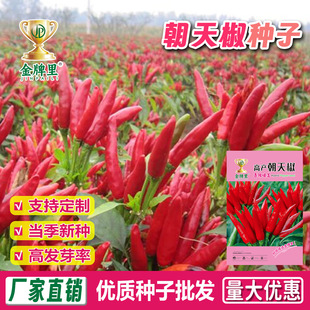 ���콷�N�������N�������Ѽt�����N���ļ����Բ˷Nֲʳ�ó��콷��