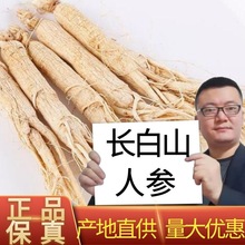 长白山人参吉林圆参正宗东北生晒参可打粉原皮白参煲汤泡酒料批发