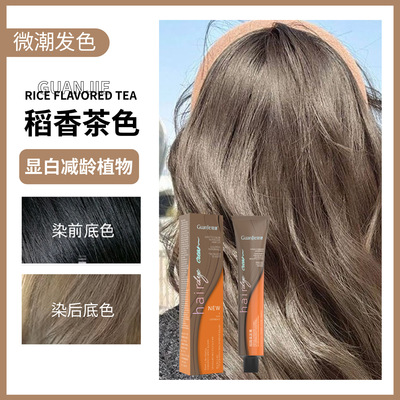 [榛果灰棕染发剂免漂自己染发膏染发剂一件代发稻香茶色奶茶灰棕染]