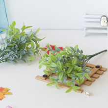 �S�����l�����͸ʲ݇�ɫܛ�z�Z��ľ�~�ӱ���ֲ��b�c