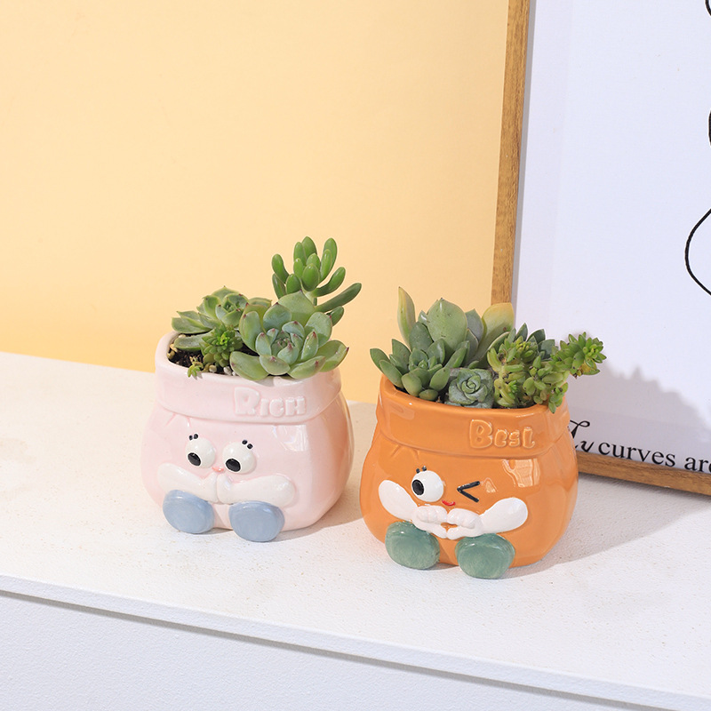 Chậu Cây Resin Chậu cây mọng nước bằng gốm hoạt hình, chậu mini để bàn, trang trí sân vườn và nhà (RG-135)