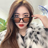 Universal sunglasses suitable for men and women, 2022 collection, European style, internet celebrity