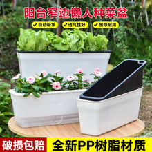 厂家直销长方形塑料自动吸水懒人花盆阳台种菜花盆香菜绿萝种植盆