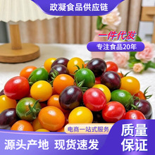 ɽ�|�۹���С���� ���l3/5�����rС�������Sɫ����}Ů���M��