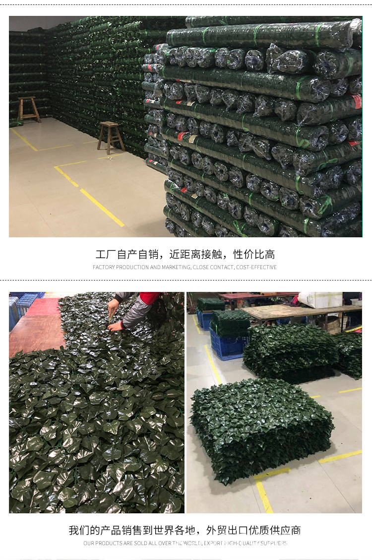 36叶藤条_05.jpg